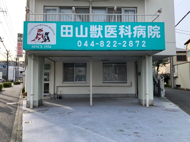 田山獣医科病院