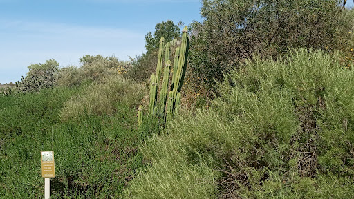 Museum «Heritage Museum of Orange County», reviews and photos, 3101 W Harvard St, Santa Ana, CA 92704, USA