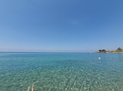 Photo de Lido Michela situé dans une zone naturelle