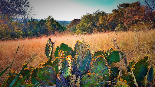 National Park «Chickasaw National Recreation Area», reviews and photos, 901 W 1st St, Sulphur, OK 73086, USA