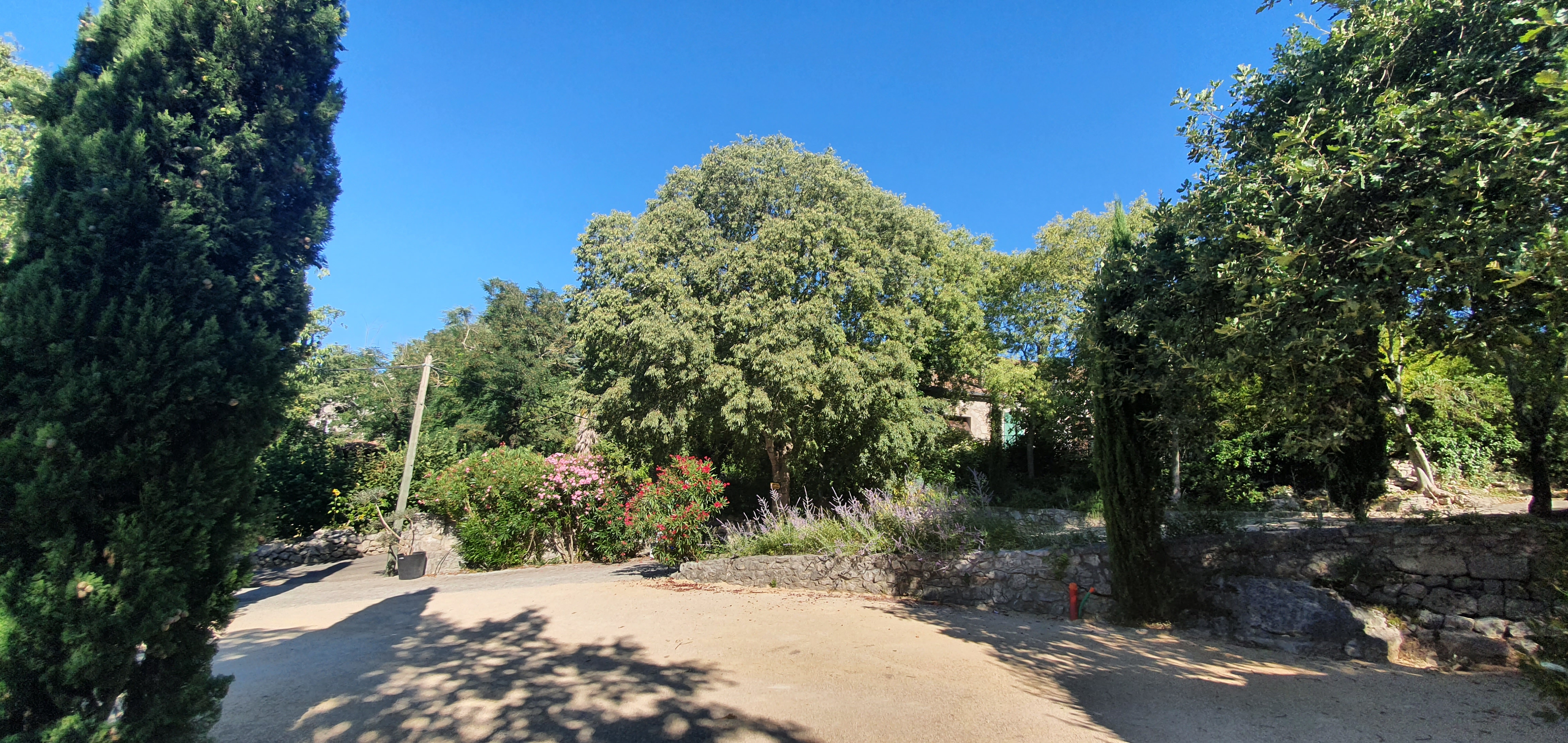 Photo n° 4 de l'avis de Angelique.a fait le 16/07/2020 à 13:23