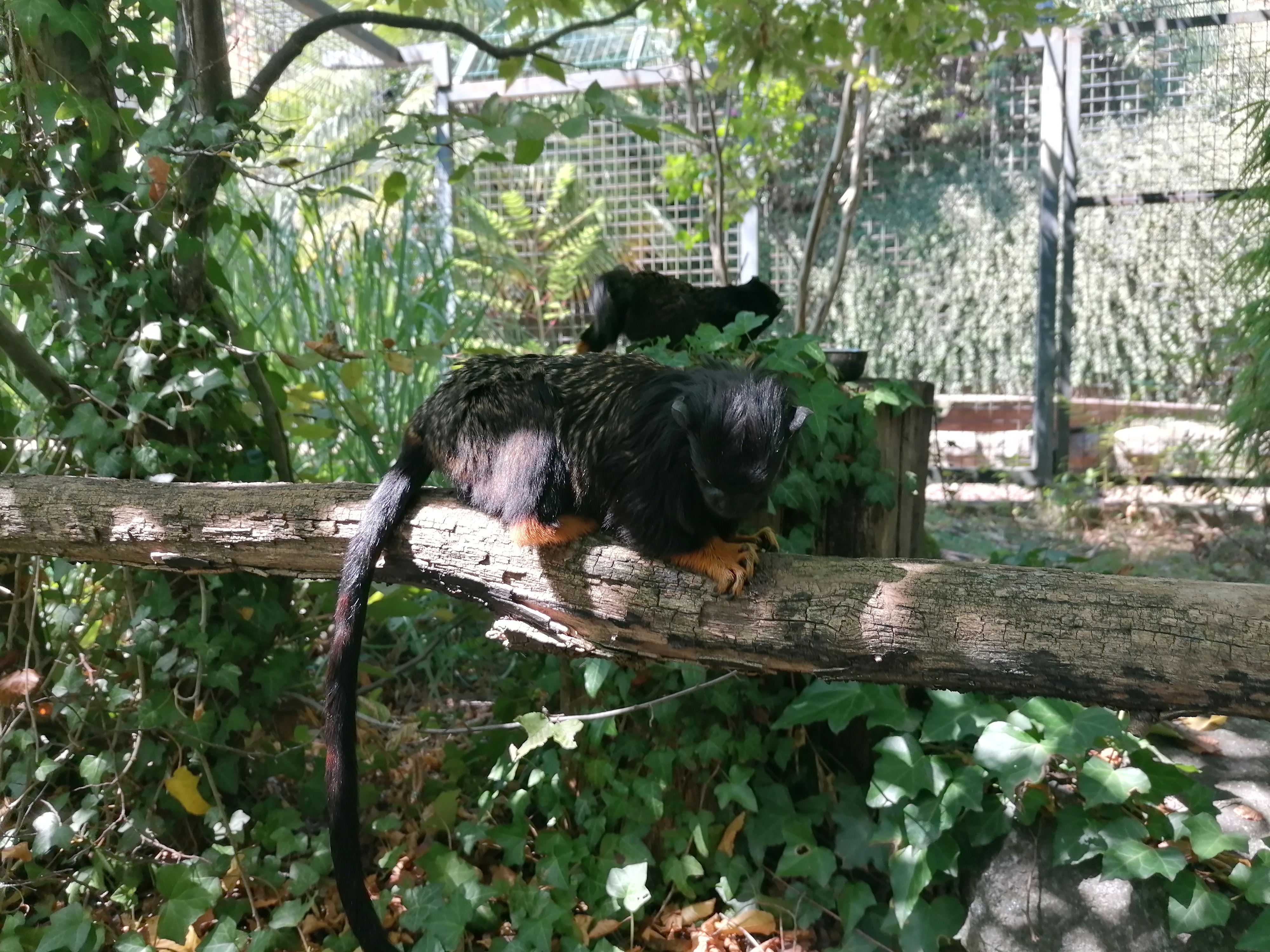 Photo n° 38 de l'avis de Gilles.. fait le 23/08/2023 à 12:57