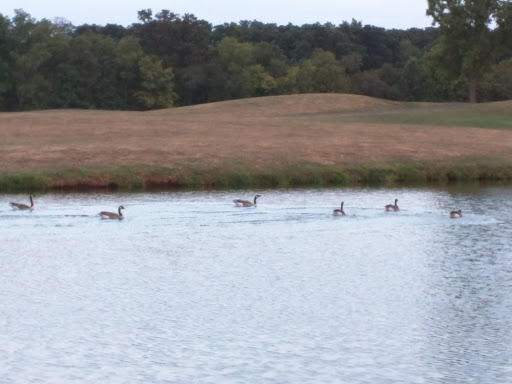 Golf Course «Turtle Creek Golf Course», reviews and photos, 303 W Ridge Pike, Limerick, PA 19468, USA