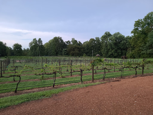 Wedding Venue «Natchez Hills Vineyard. Middle Tennessee Wedding Venue», reviews and photos, 109 Overhead Bridge Rd, Hampshire, TN 38461, USA