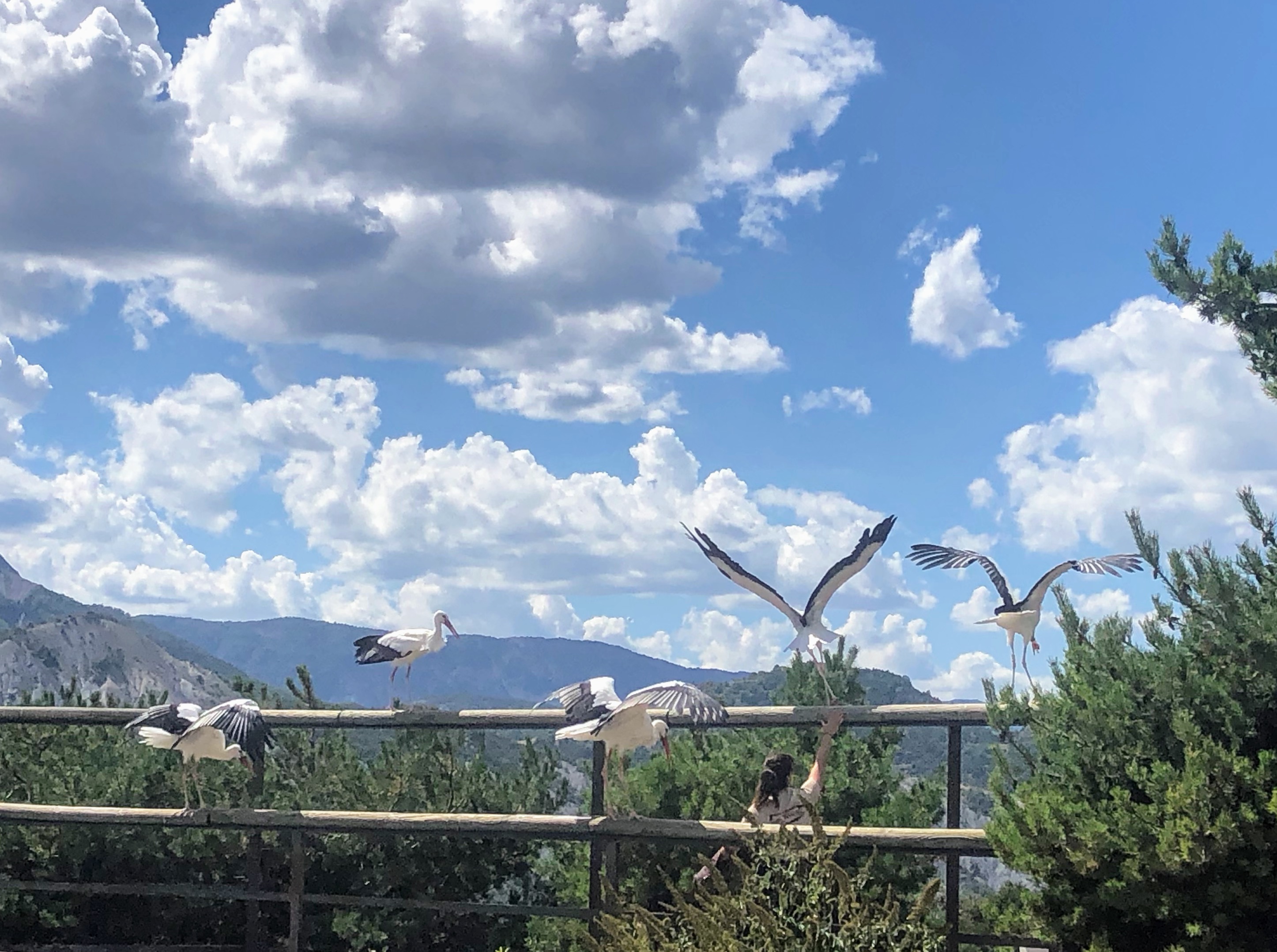 Photo n° 6 de l'avis de Jérémie.r fait le 28/08/2020 à 17:19