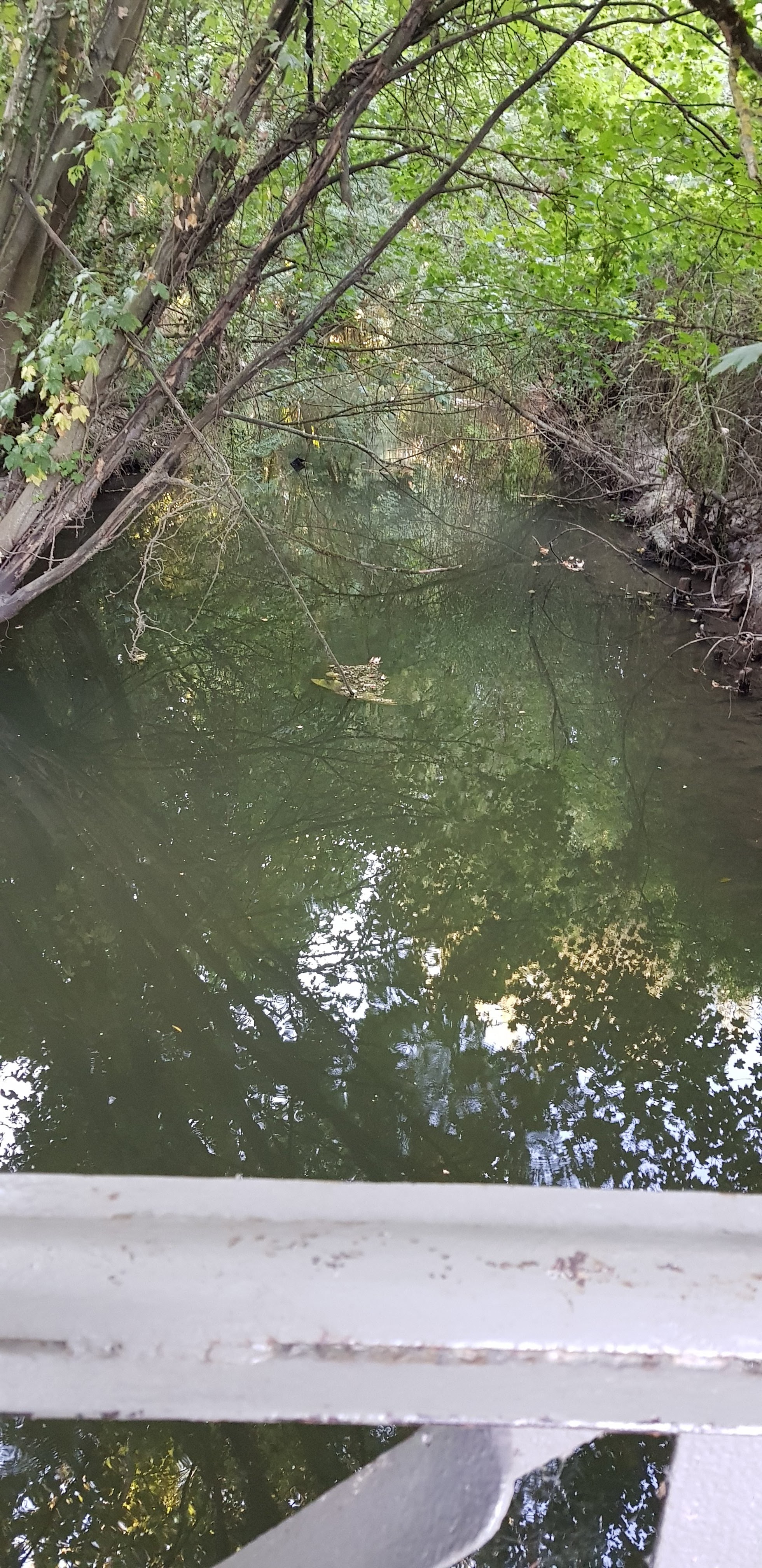 Photo n° 3 de l'avis de Koldo. fait le 15/08/2018 à 09:01