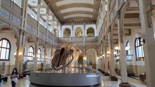 Museo Nacional de Historia Natural Santiago de Chile