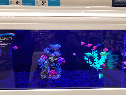 Pet Supply Store «Petco Animal Supplies», reviews and photos, 187 Stonebrook Pl, Jackson, TN 38305, USA