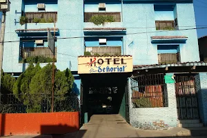 Hotel Señorial image