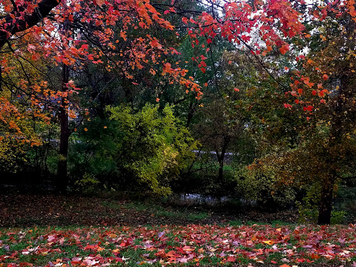 Public Golf Course «Glenhurst Golf Course», reviews and photos, 25345 W 6 Mile Rd, Redford Charter Twp, MI 48240, USA