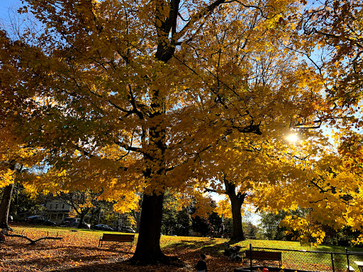 Park «Warren Park», reviews and photos, 90 Washington St, Wellesley, MA 02481, USA