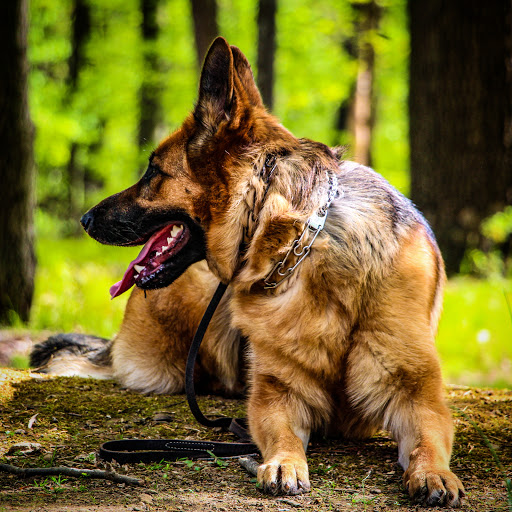 Nature Preserve «Schiff Natural Lands Trust/Schiff Nature Preserve», reviews and photos, 339 Pleasant Valley Rd, Mendham, NJ 07945, USA