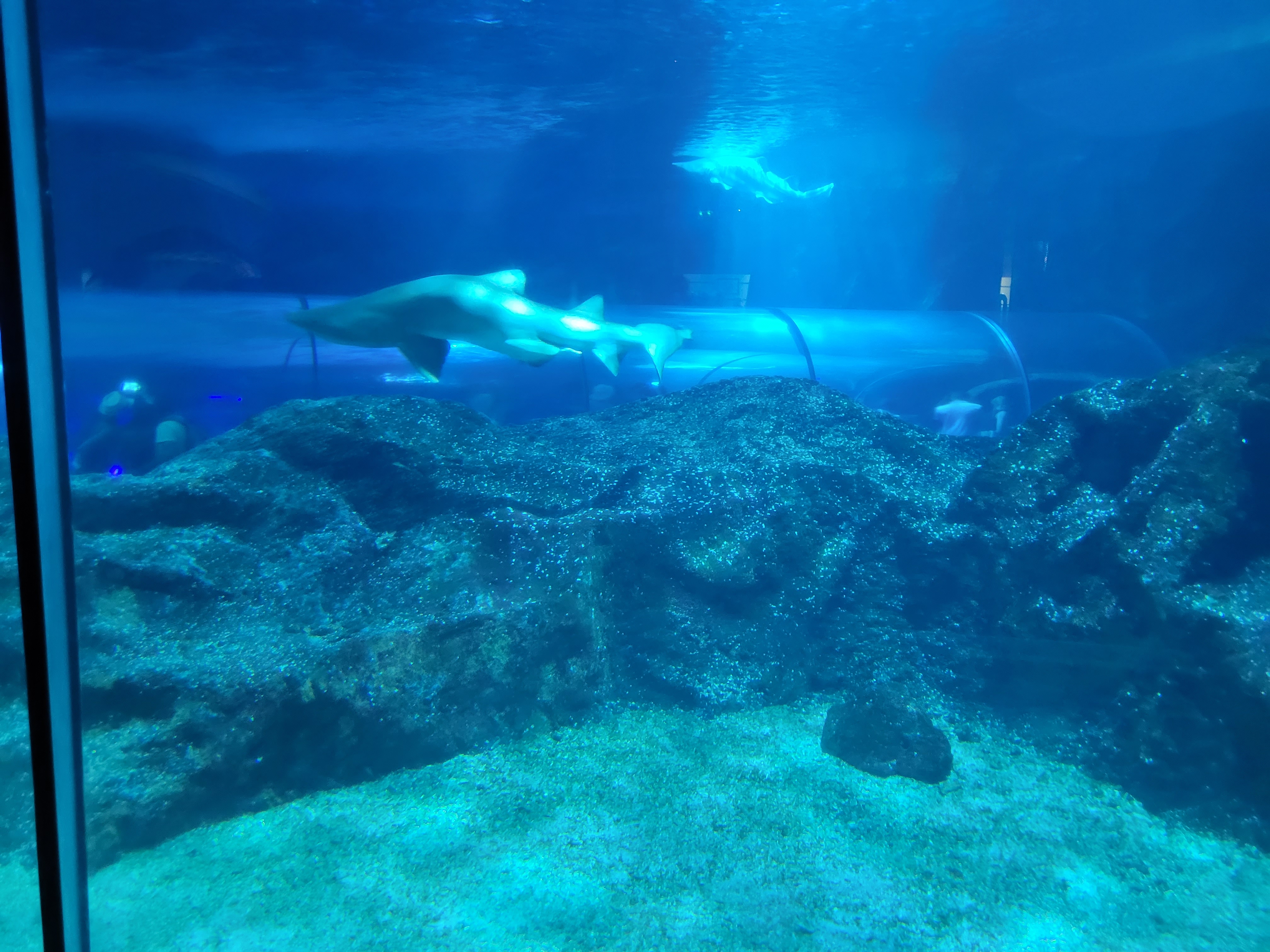 Photo n° 13 de l'avis de Corina.u fait le 31/08/2022 à 00:21
