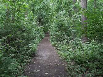 Virginia B. Matley Nature Trail