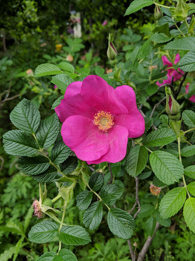 Nature Preserve «Prudential Outdoor Learning», reviews and photos, 32 Prince St, Newark, NJ 07103, USA