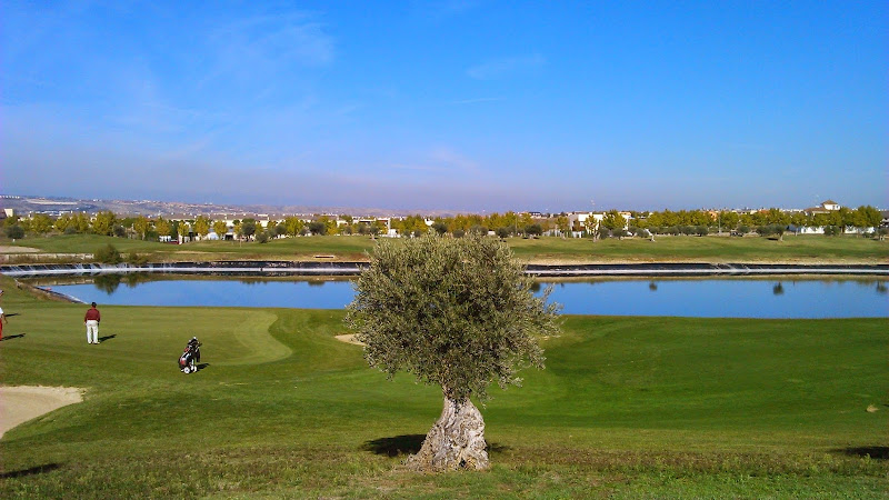 Foto de Golf Jardín de Aranjuez