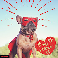 Mountain West Pest Control Inc - Photo 7 - Car repair in , Las Vegas