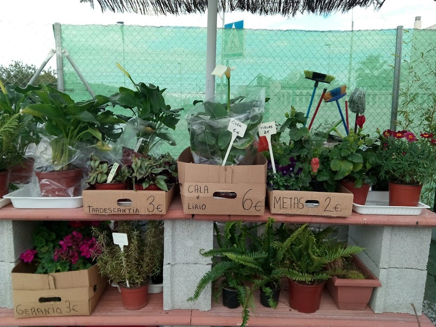 Coffeegarden Ayuso Segado