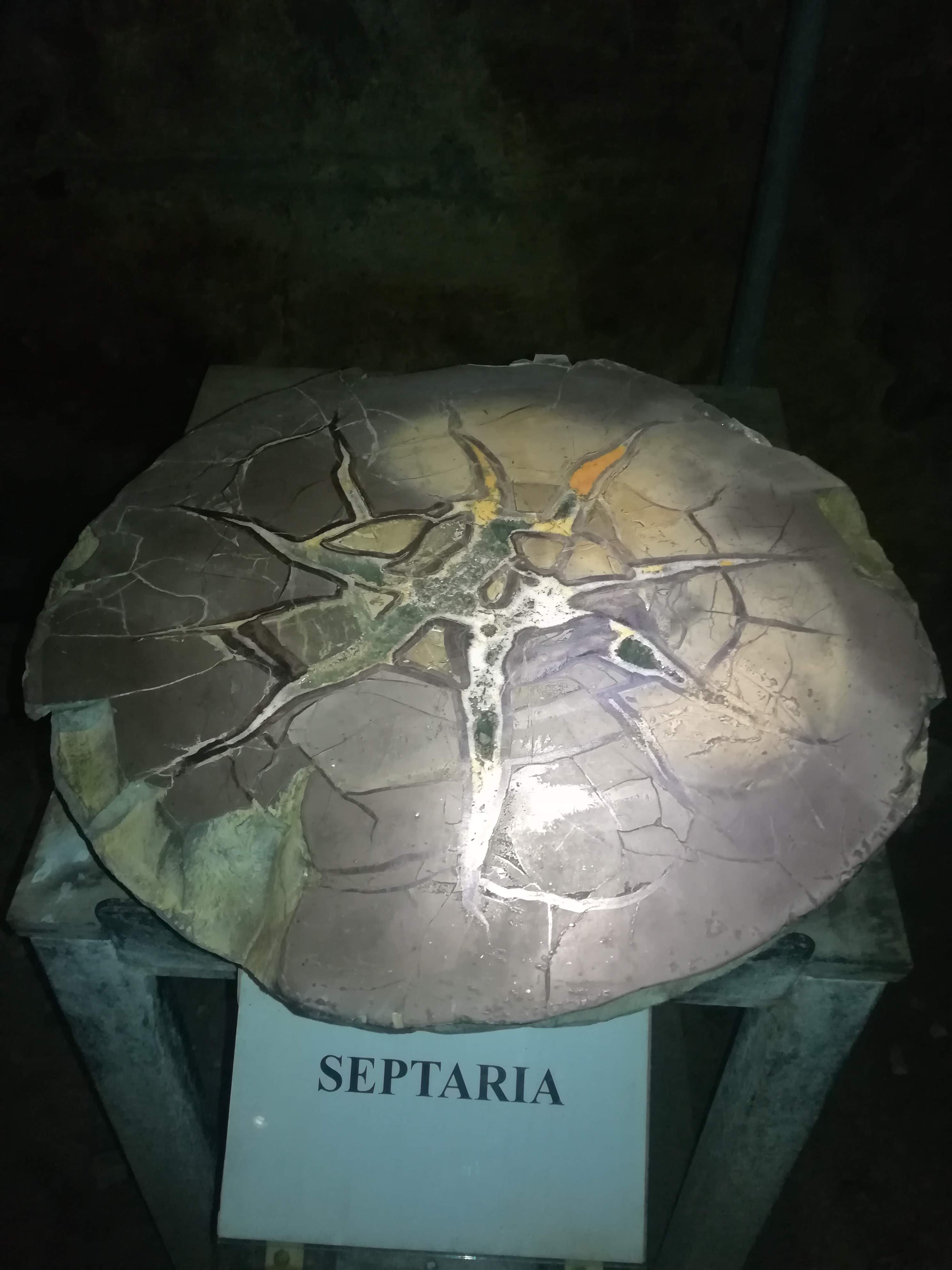 Photo n° 37 de l'avis de missbigsmile. fait le 03/07/2018 à 05:14