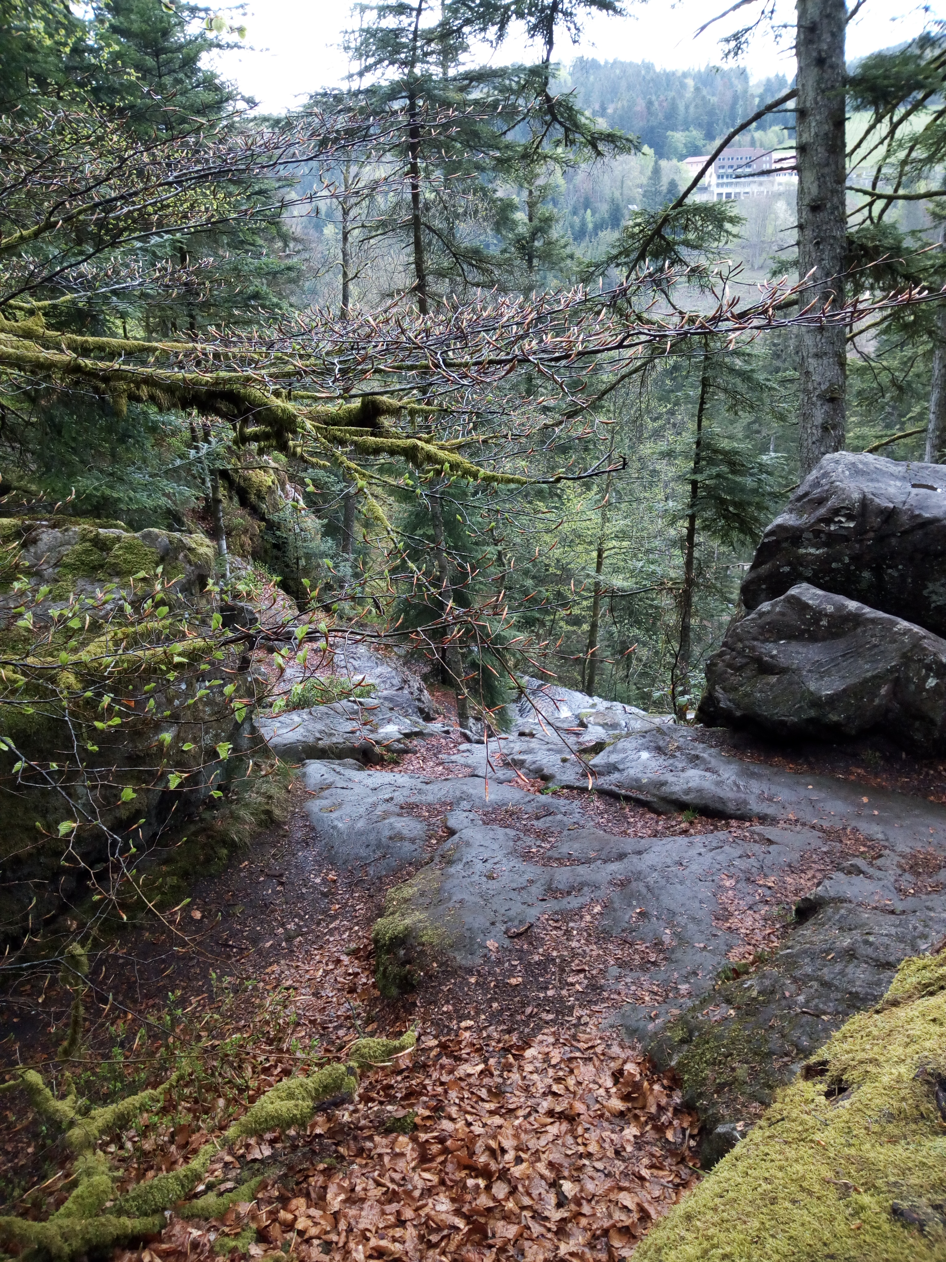Photo n° 2 de l'avis de Eric.i fait le 24/04/2019 à 14:44