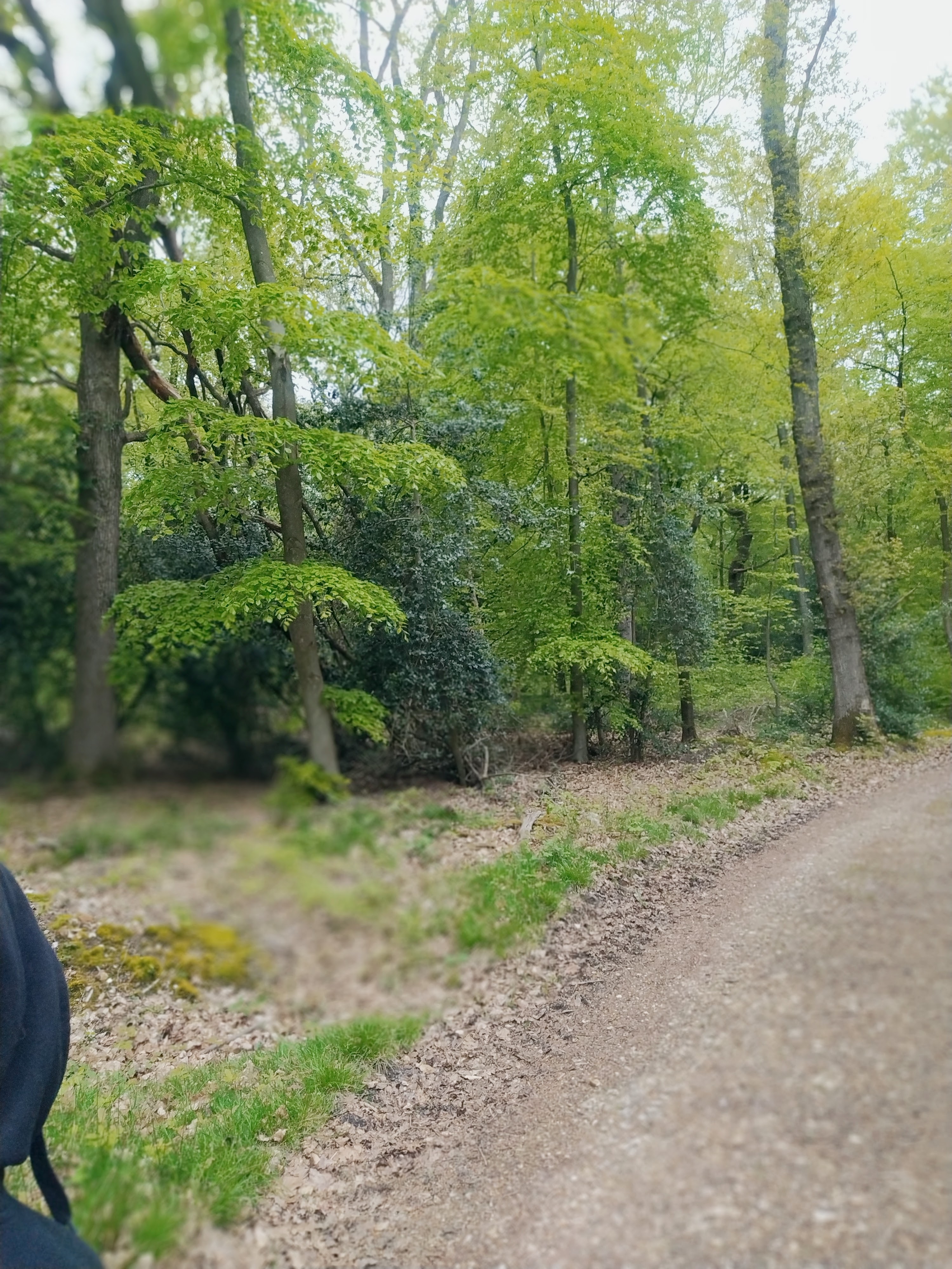 Photo n° 3 de l'avis de Marjorie.o fait le 29/05/2023 à 09:12