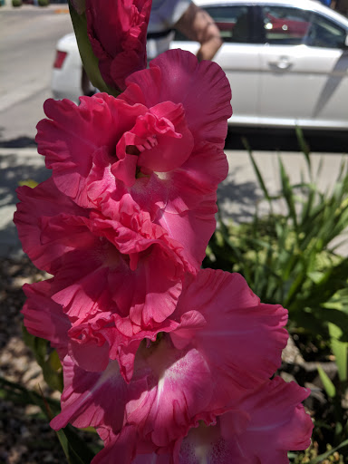 Bistro «St Clair Winery & Bistro Albuquerque», reviews and photos, 901 Rio Grande Blvd NW, Albuquerque, NM 87104, USA