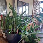 Photo n°2 de l'avis de Silvia.. fait le 13/11/2022 à 21:38 sur le  Trattoria Azzoni à Pegognaga