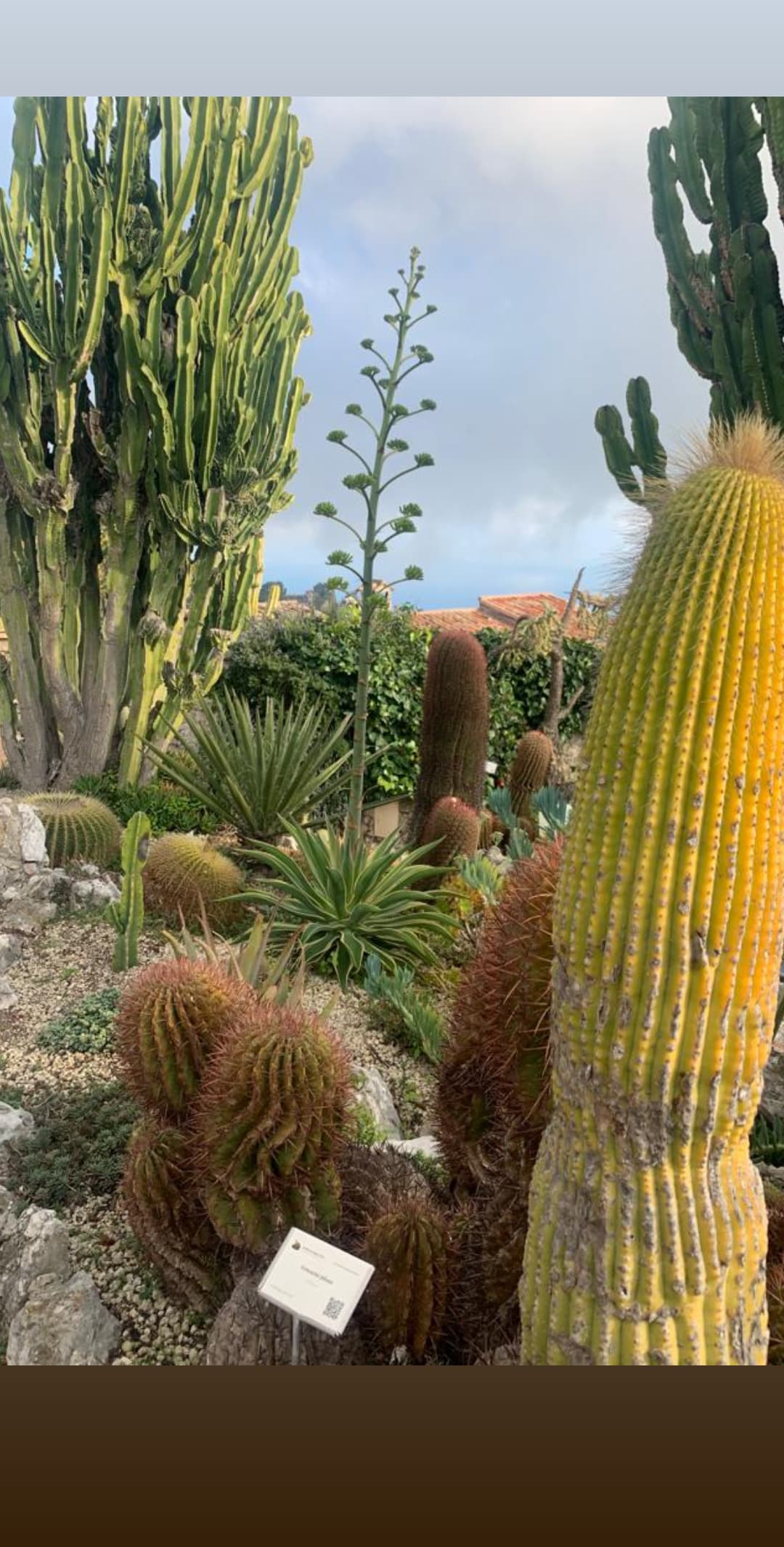 Photo n° 2 de l'avis de Marie.u fait le 06/02/2024 à 12:45