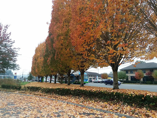 Federal Credit Union «BECU», reviews and photos