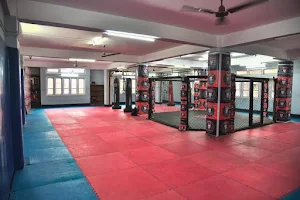 Bidang MMA & Fitness Gym image