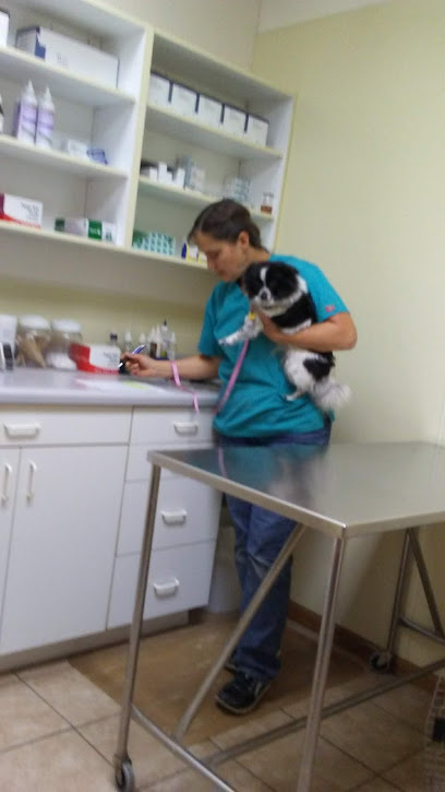 Montevideo Veterinary Clinic