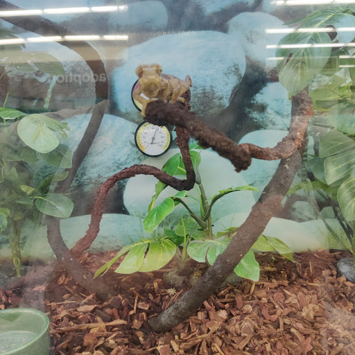 Pet Supply Store «Petco Animal Supplies», reviews and photos, 517 N 3rd Pl, Manhattan, KS 66502, USA