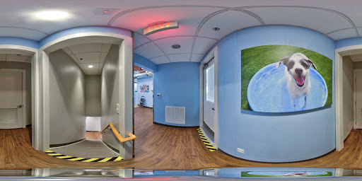 Kennel «Pampered Pets», reviews and photos, 601 Concord Ave, Charlottesville, VA 22903, USA