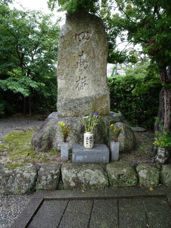 四高桜 記念碑