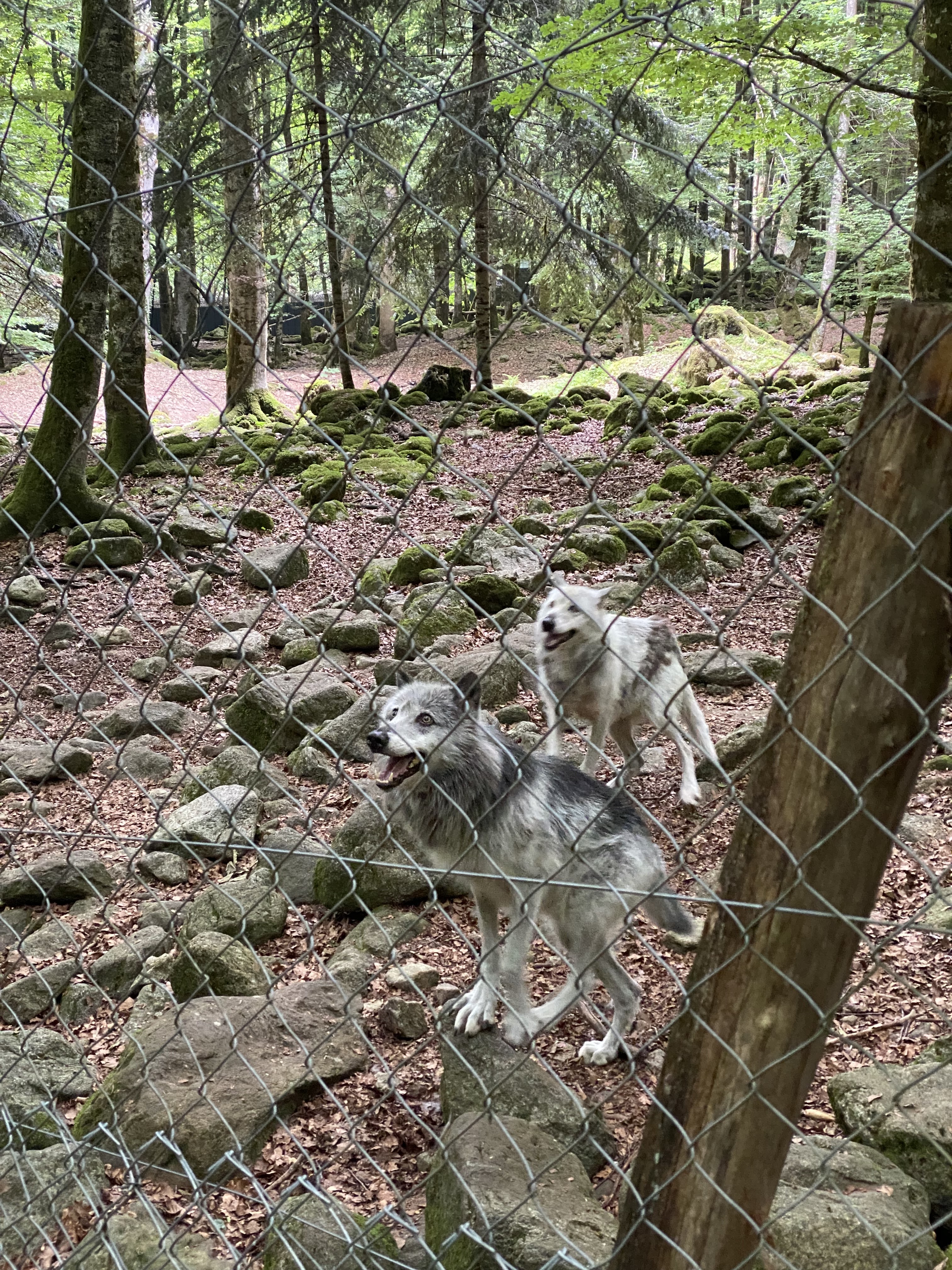 Photo n° 1 de l'avis de Morgane.i fait le 03/07/2021 à 15:29