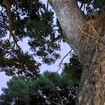 Photo n°1 de l'avis de Katia.g fait le 19/09/2022 à 20:04 sur le  Ristorante Il Geranio Capri à Capri