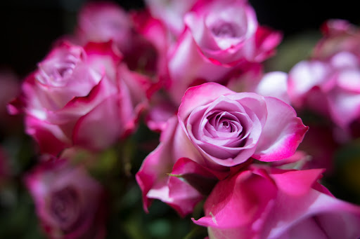 Florist «Flower Nest», reviews and photos, 248 Plaza Rd, Kingston, NY 12401, USA