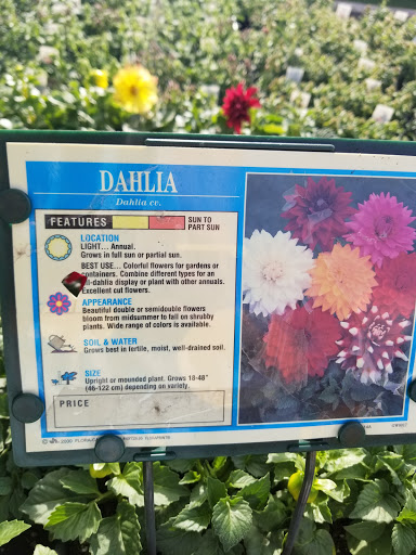 Florist «Lyndhurst Florist», reviews and photos, 5268 Mayfield Rd, Lyndhurst, OH 44124, USA