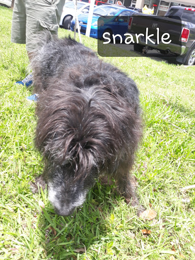 Shopping Mall «12th St Plaza», reviews and photos, 1275 US-1, Vero Beach, FL 32960, USA