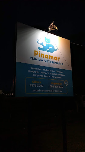 Veterinaria Pinamar - Veterinario