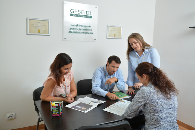 Geseidl Consulting Group - Firmă de contabilitate