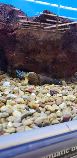 Pet Supply Store «Petco Animal Supplies», reviews and photos, 19767 Haynes Road, Catoosa, OK 74421, USA