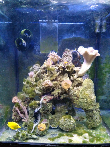 Pet Store «Ark Pet Shop», reviews and photos, 2400 W Lincoln Hwy, Merrillville, IN 46410, USA