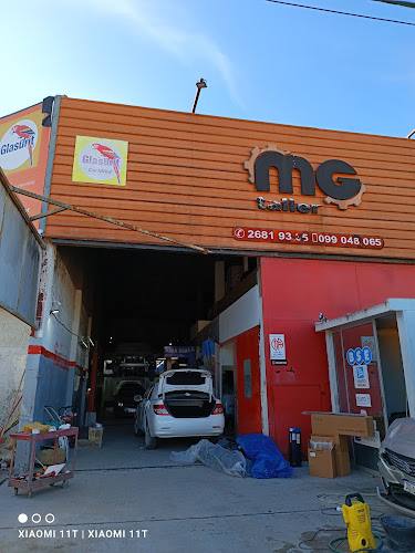MG - Tienda de pinturas