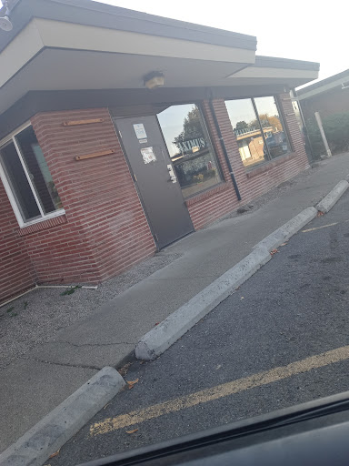 Explore stomach tattoo ideas for females, creative tattoo ideas in Yakima, available at Maximus Body Piercing Studio