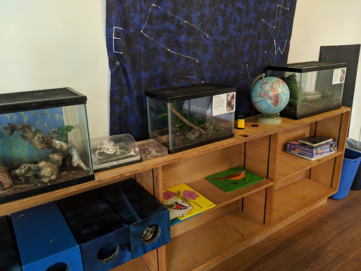 Non-Profit Organization «Nature Discovery Center», reviews and photos, 7112 Newcastle St, Bellaire, TX 77401, USA