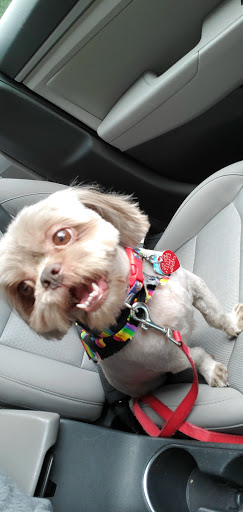 Pet Supply Store «PetSmart», reviews and photos, 13337 Worth Ave, Woodbridge, VA 22192, USA