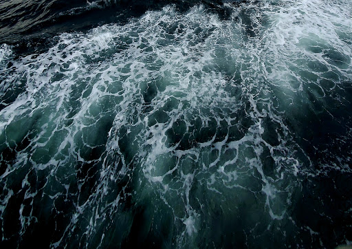 Whale Watching Tour Agency «Cape Ann Whale Watch», reviews and photos, 415 Main St, Gloucester, MA 01930, USA