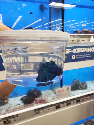 Pet Supply Store «Petco Animal Supplies», reviews and photos, 5601 Brodie Ln, Sunset Valley, TX 78745, USA