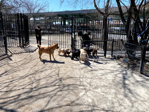 Photo of DiMattina Dog Run